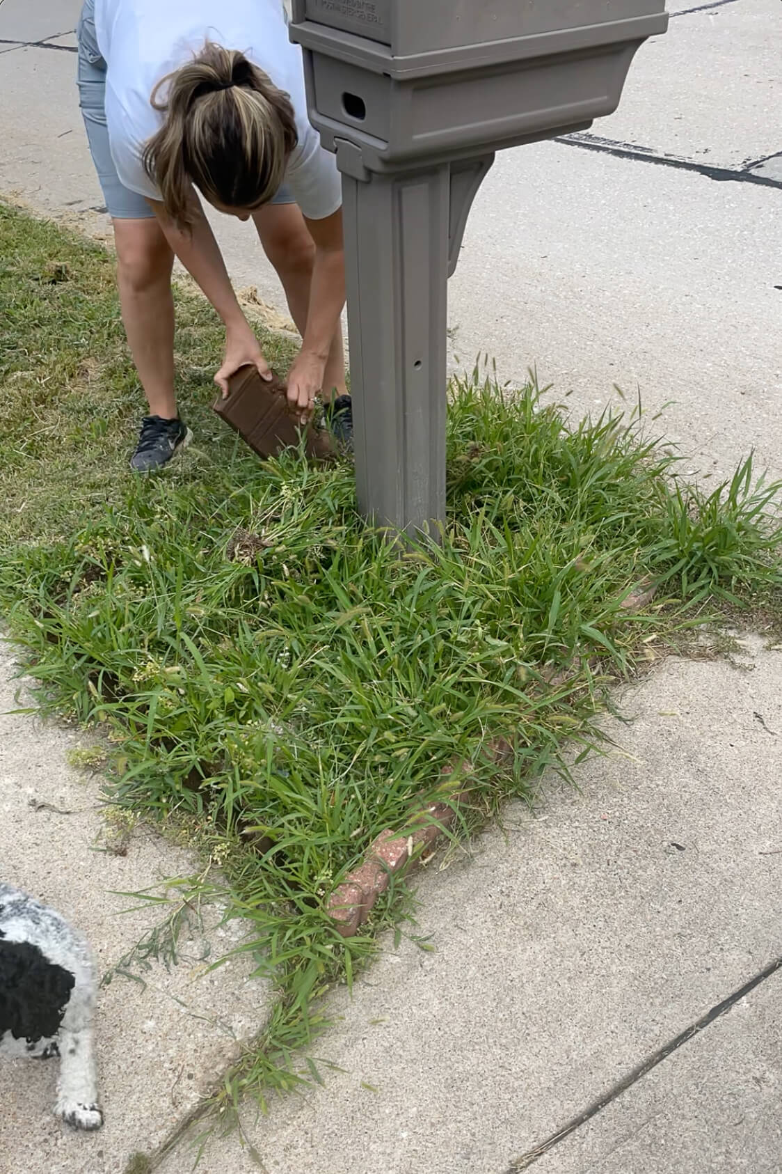 Removing weeds and brick edging around an old mailbox. 
